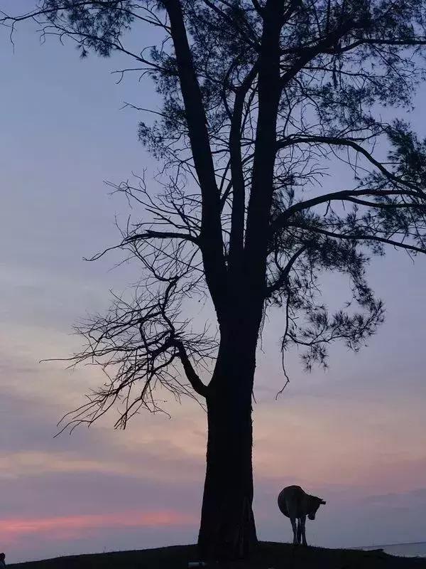 手机摄影作品集大全大图,手机摄影人像优秀作品图