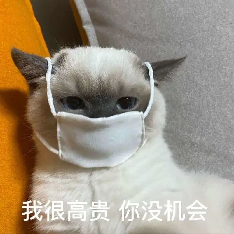 煤老板爆红完整版,煤老板ins