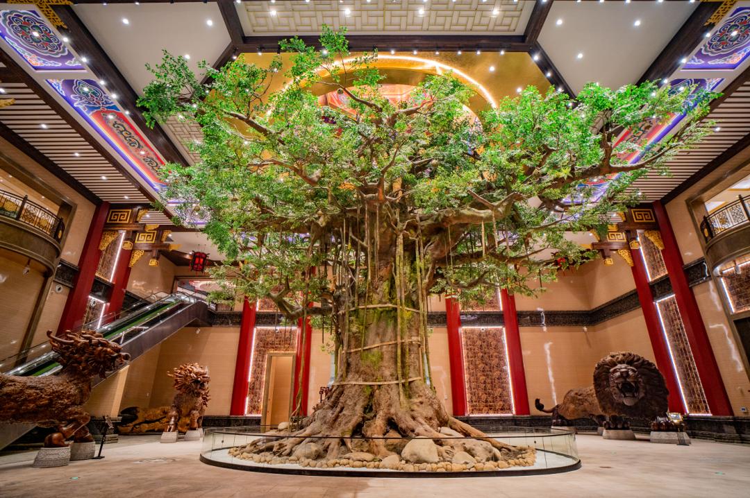 龙之谷最新地图,龙之谷今日视频