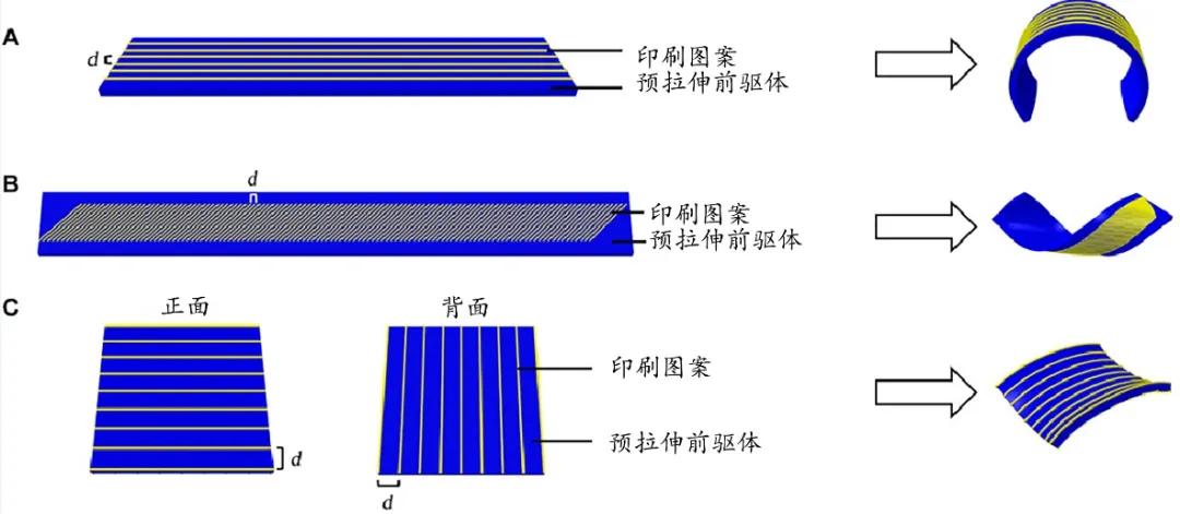 专家展示4d打印技术,4d打印新型材料
