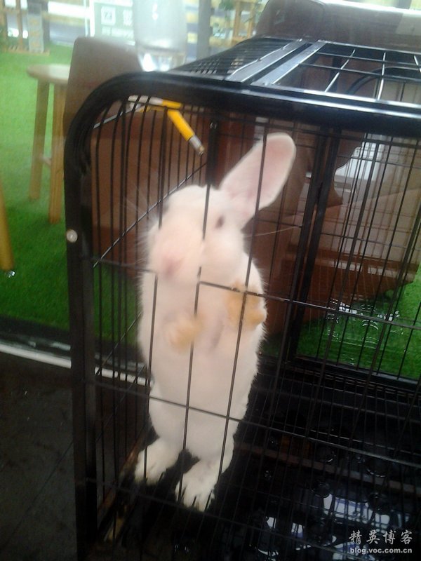 鏍床缇庣殑鏃朵唬骞垮満,鏍床缇庣殑鏃朵唬骞垮満鍋滆溅鏀惰垂