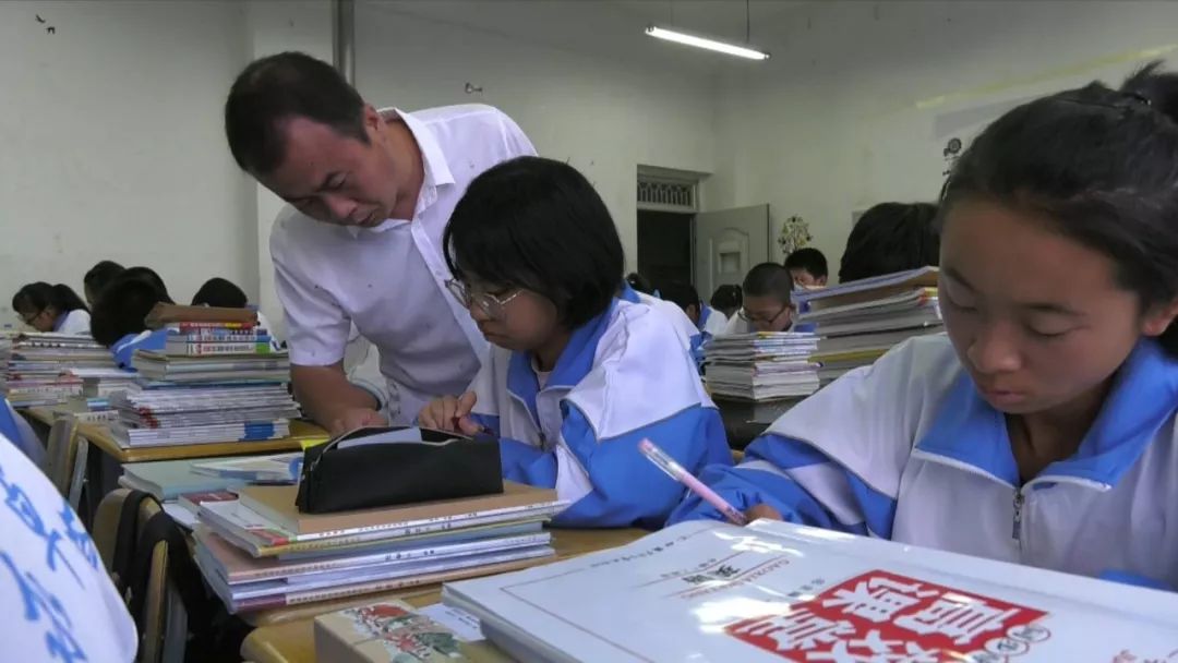 金鹏安教练,金鹏安老师