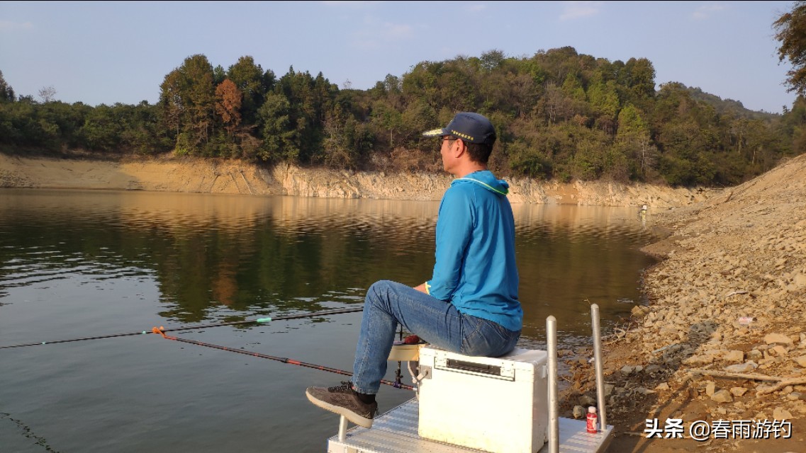 黄尾鲴鱼窝料推荐,钓黄鲴鱼用什么饵料