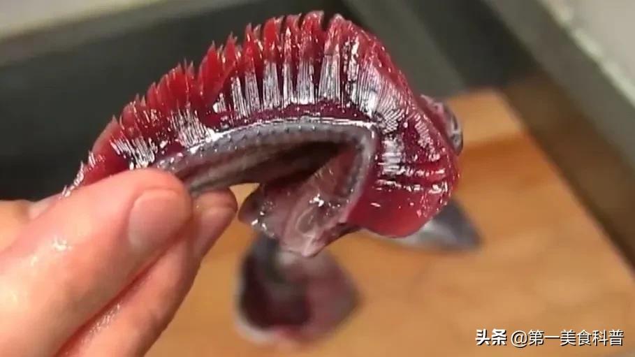 买带鱼记得要分清黑眼睛和黄眼睛,买带鱼黄眼睛和黑眼睛哪种好