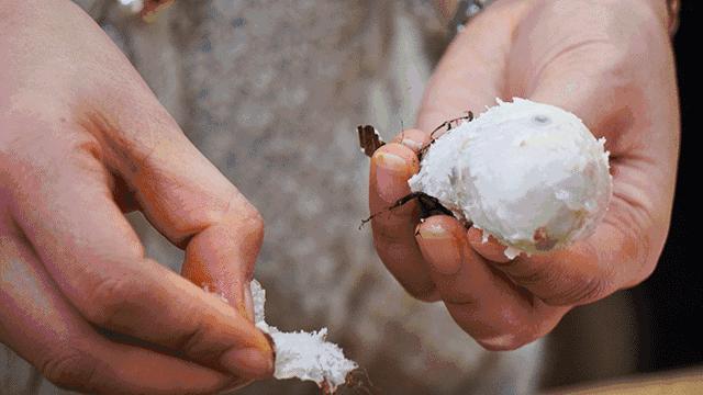 云南独特的味道风味小吃,云南哪里的芋头最好吃