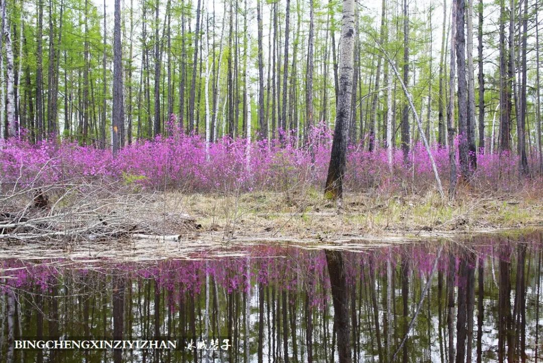 寻找中国最美的春季,探寻中国最美秘境