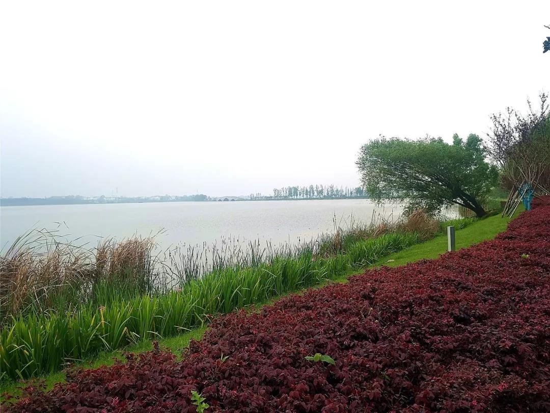 武汉总裁培训课程公司,总裁企业管理培训班教授推荐