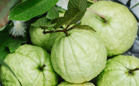 番石榴芭乐含量,吃番石榴芭乐对身体有哪些好处