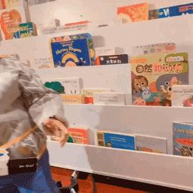 生活需要仪式感书籍视频,家庭绘本收纳方法