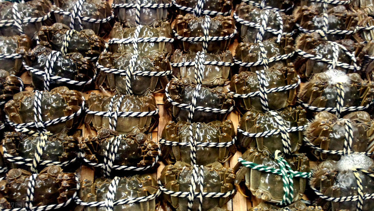 卖海鲜需要掌握哪些知识,买海鲜猫腻揭秘