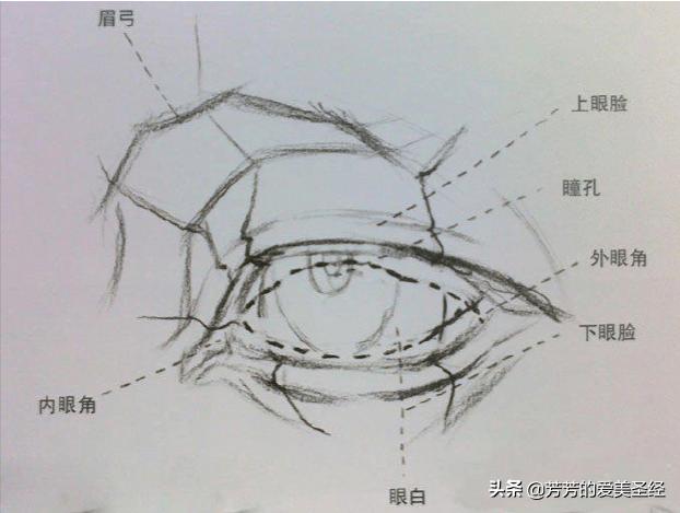 眼睛变大，这五点学会了，大眼不是梦