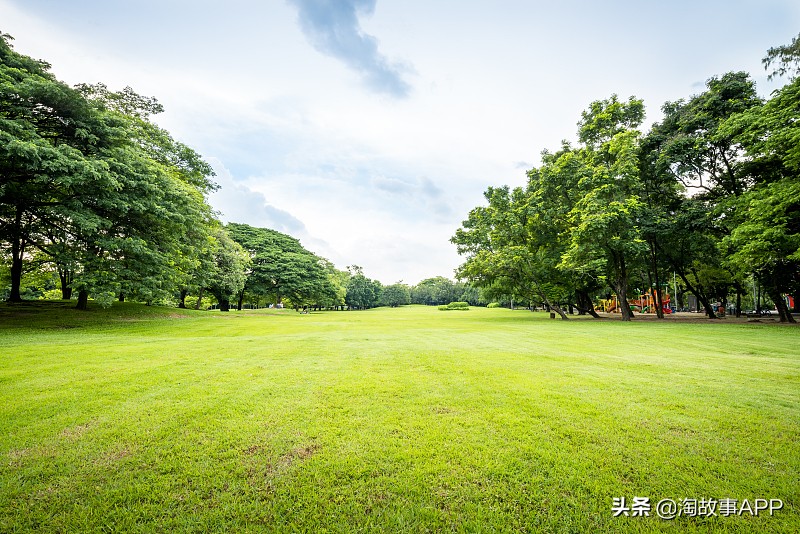 回忆的味道就像樟脑的香,如果回忆有味道朗读稿件