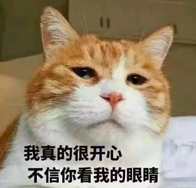 你属什么我属你,有属猫的生肖吗