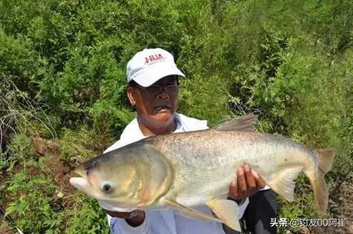 钓鱼界五大扛把子,钓鱼界的五大顶尖高手你更喜欢谁