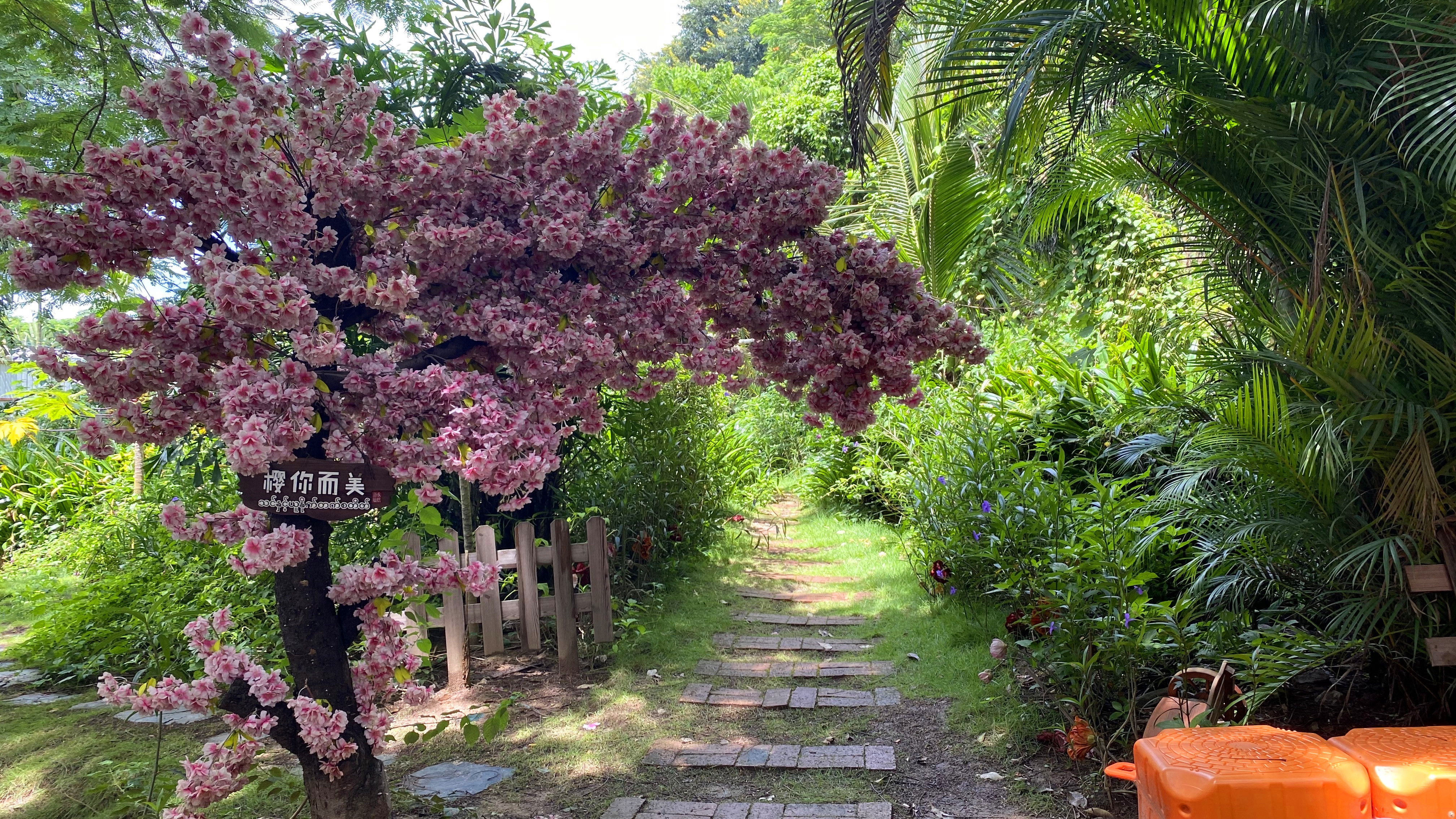 西双版纳傣族园门票快艇,西双版纳永航快艇攻略