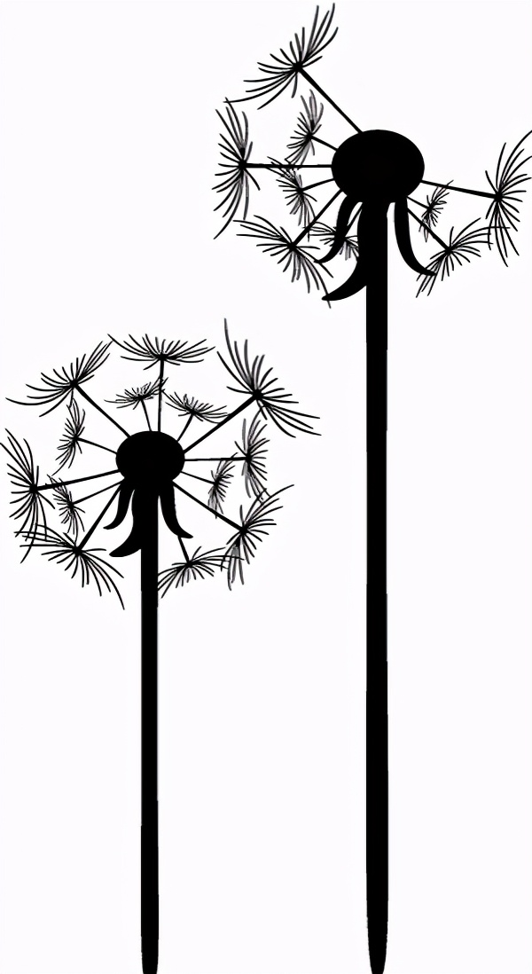 如此发烧友｜我追寻回到乐团中央的感觉