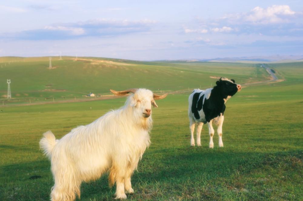 羊水是孕妇喝水产生的么,孕妇羊水是粘稠物吗