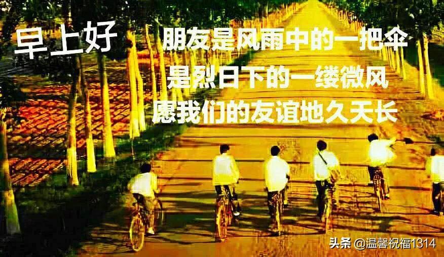 最新早安问候语动态图片大全,周日早上好图片早安问候语