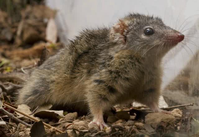 枸橼酸西地那非实测,为什么叫枸橼酸西地那非