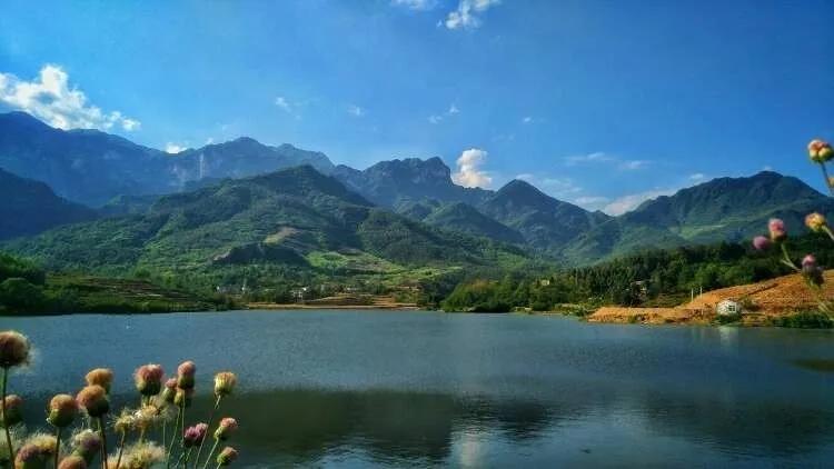 水库鱼一百斤,水库鱼100斤