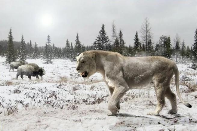 地球最大动物蓝鲸两百吨体重,地球最大的动物是什么动物