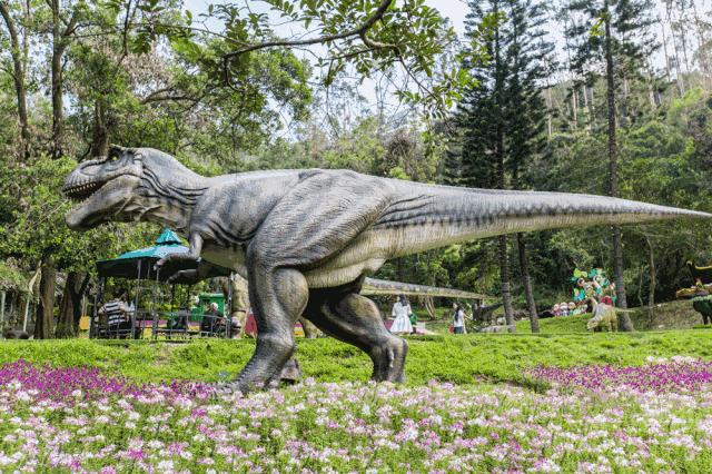 深圳周边带娃恐龙主题公园,深圳恐龙乐园游玩景点