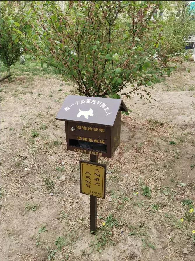 天之骄子是啥意思,天之娇子啥意思