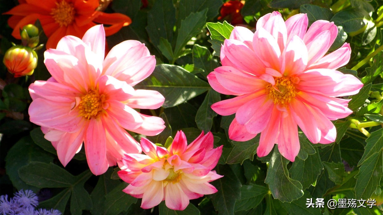 当你爱一个人和我一样爱你的时候,真爱你的人会一直陪伴你