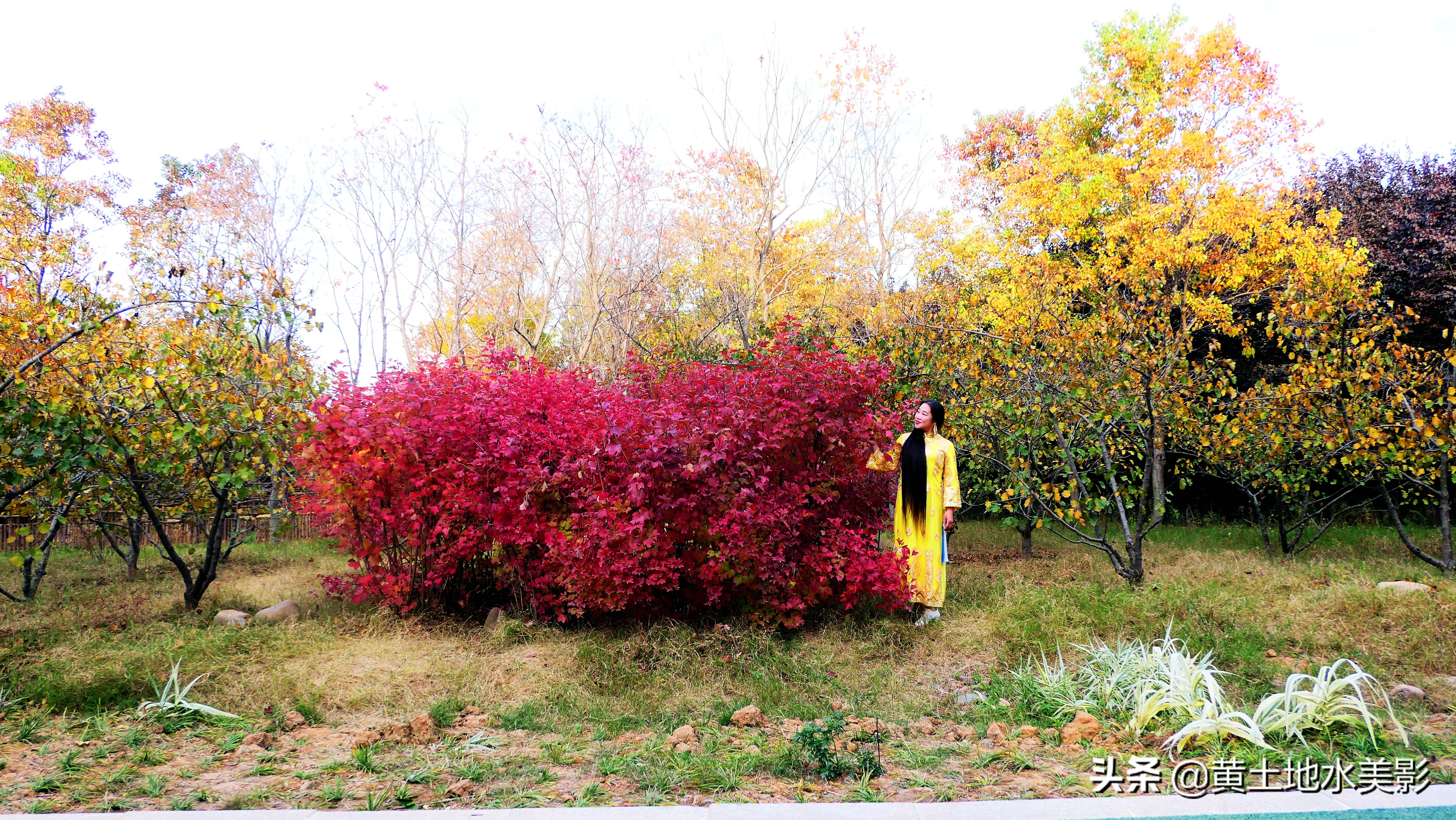 占地590亩的湿地公园,野生动物比较多的旅游景区