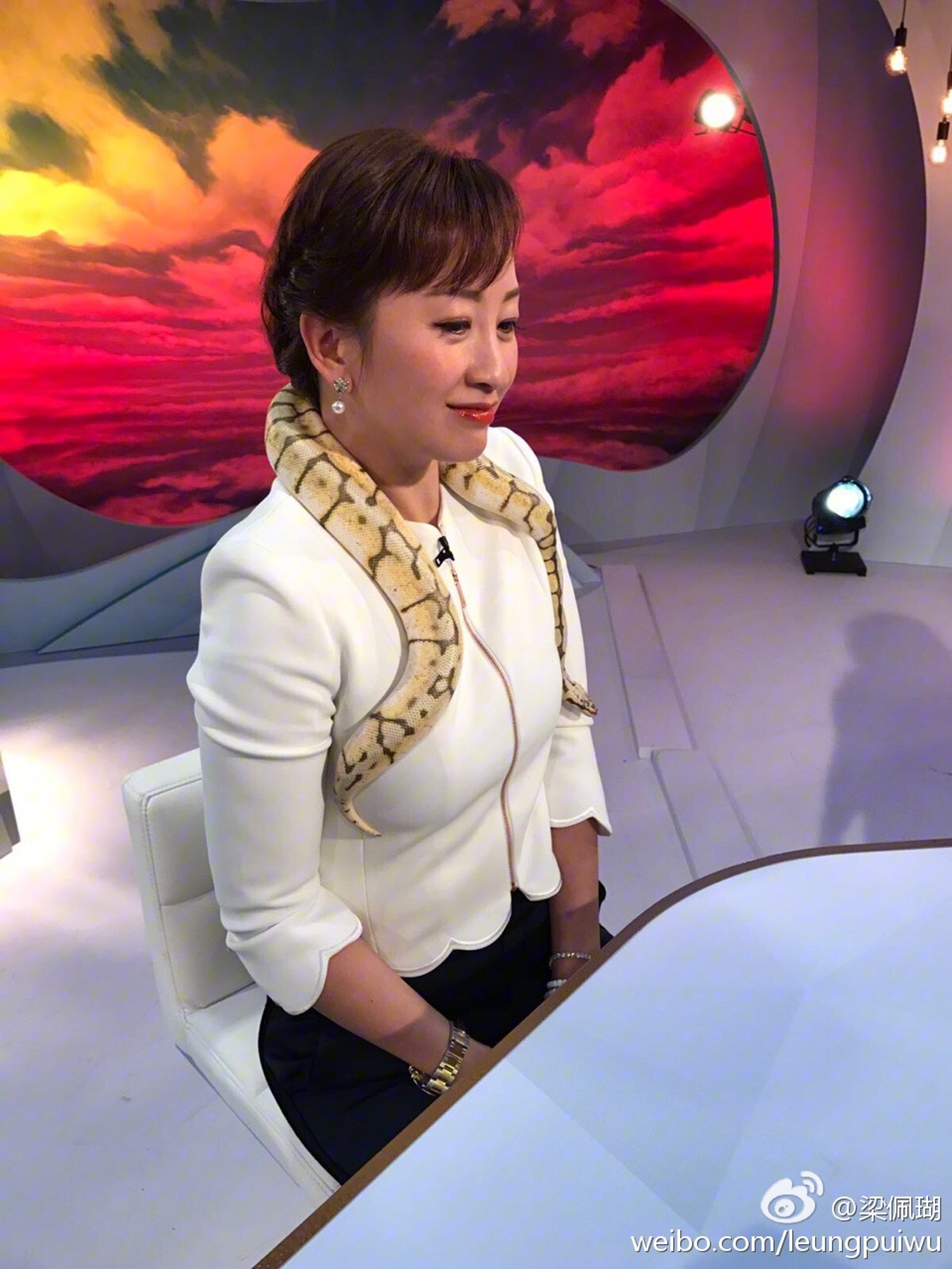 港姐吴婉芳好年轻,冻龄港姐吴婉芳的传奇人生