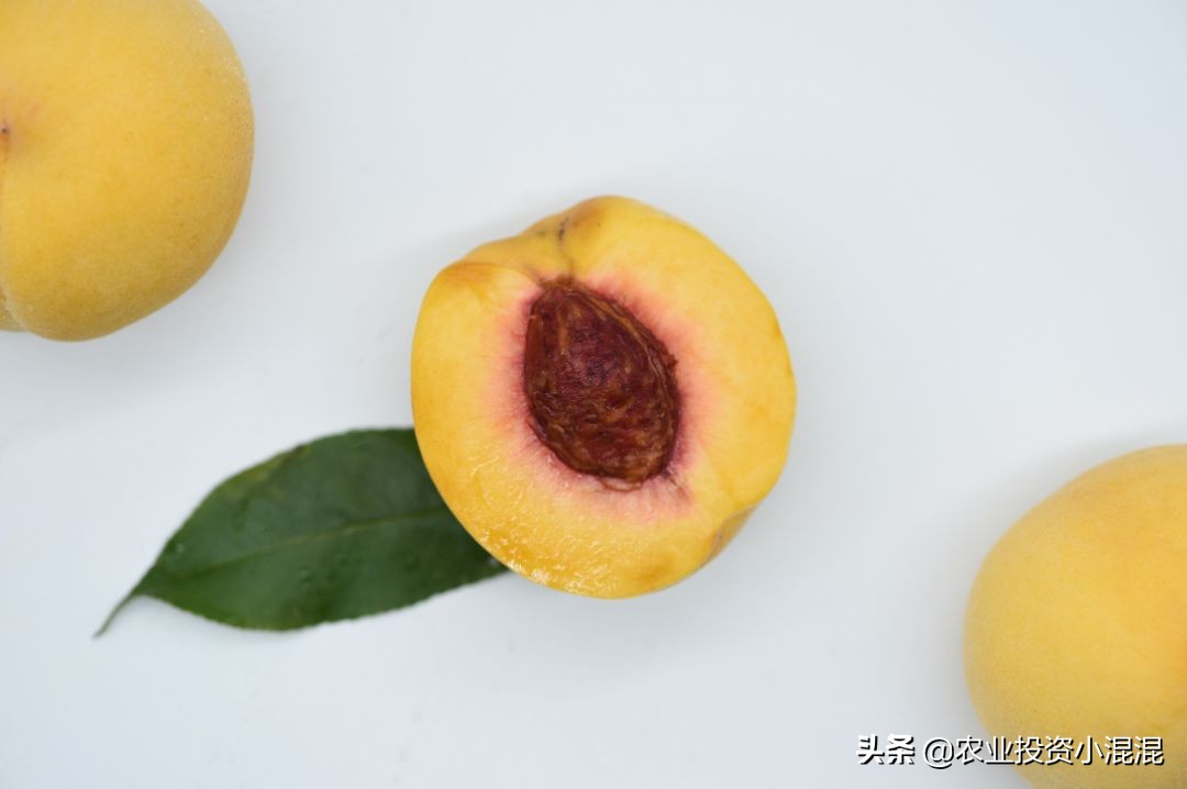 猕猴桃中国最好吃的品种,中国猕猴桃什么品种最好吃