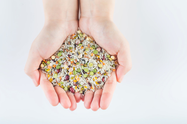 长高秘密大全,长高的秘密幼儿