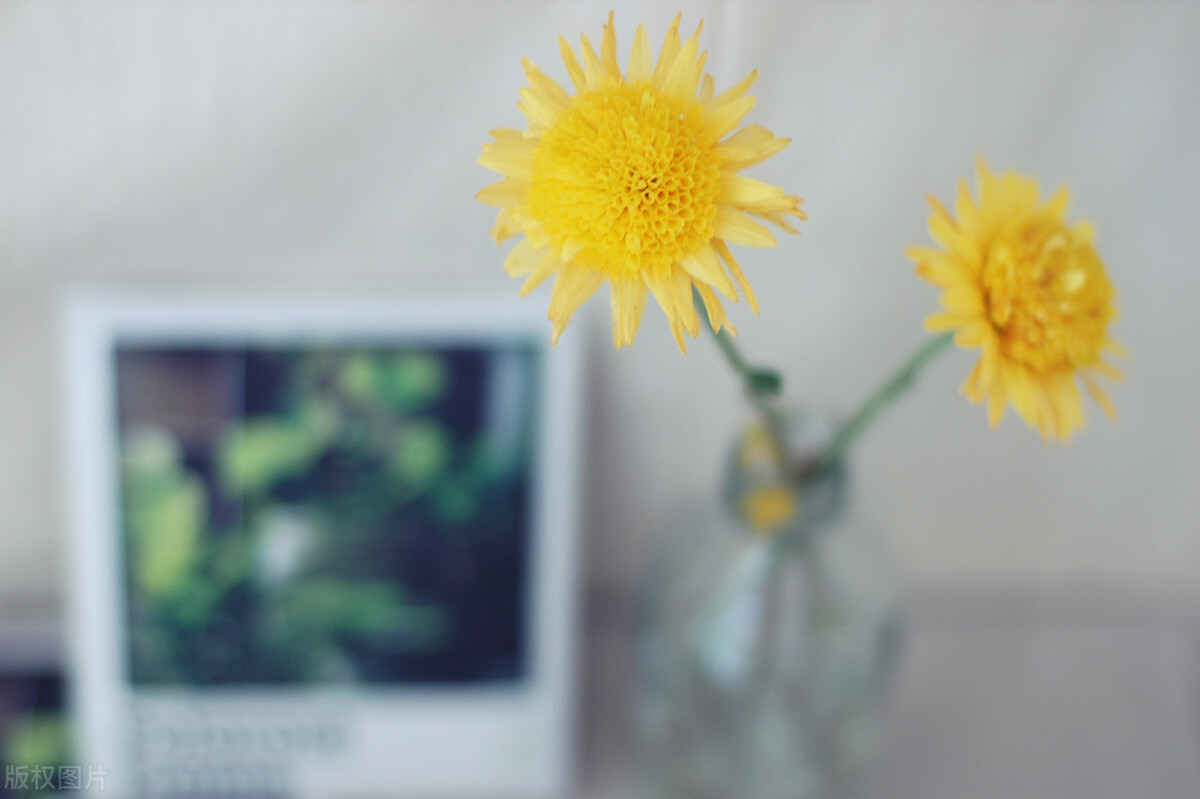 治疗拖延的有效方法,如何治好拖延