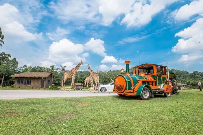 长隆野生动物世界暑假攻略,广州长隆野生动物园亲子一日游攻略