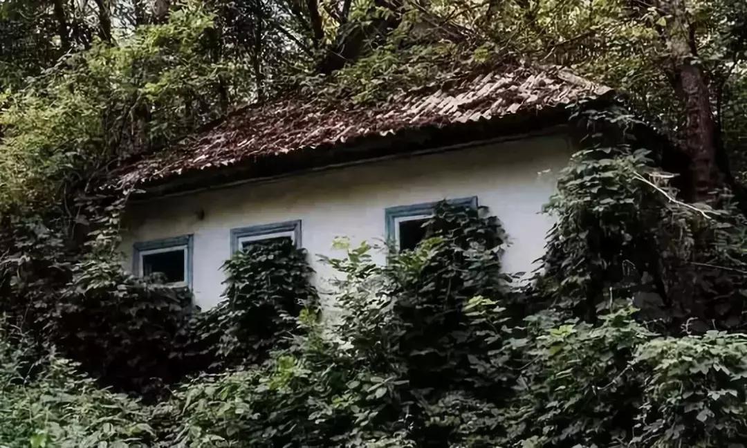 辐射区的现状,辐射区的故事未解之谜