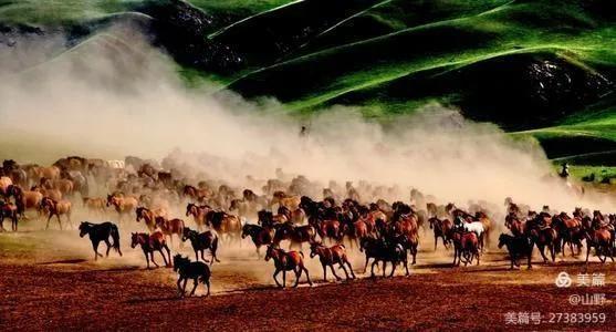 弼马温养马的官,弼马温在哪里看管天马