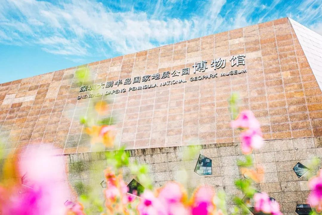 深圳旅游攻略一日游路线推荐,深圳自驾游一日游最佳路线图