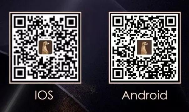 股票中的灰犀牛,灰犀牛与股市