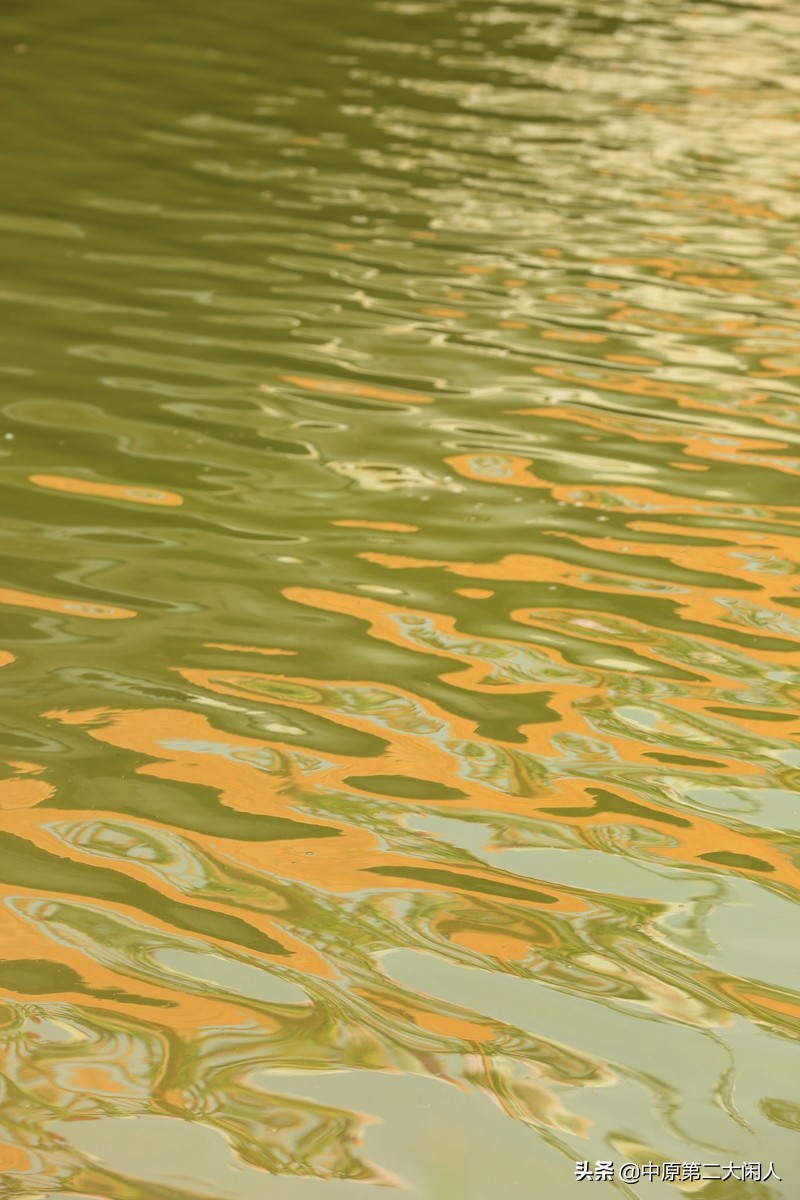 郑州中牟县雁鸣蟹岛,河南郑州市中牟雁鸣蟹岛景区