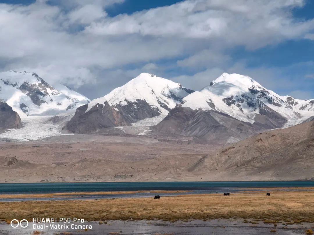 哪款手机拍照能比得上苹果13,iphone手机谁拍照最好用