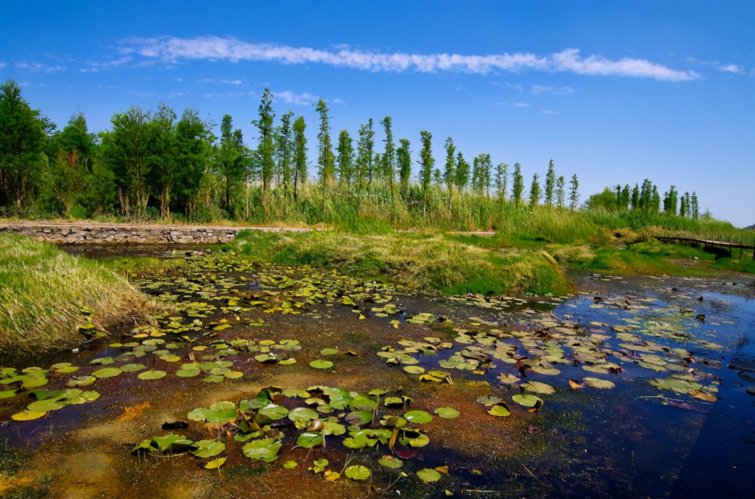昆明周边美食一日游自驾游,昆明周边自驾游露营视频