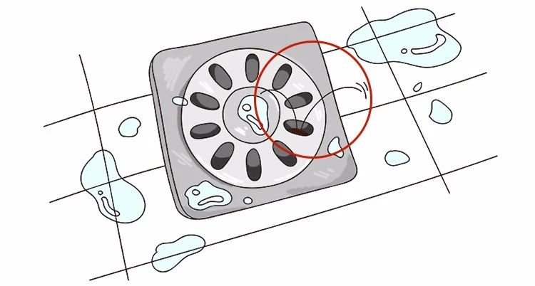 蟑螂卵都不剩的灭蟑方法,彻底消灭蟑螂老窝