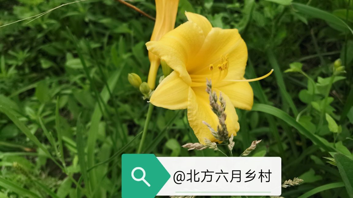 后妈不好当小说,后妈不好当吗