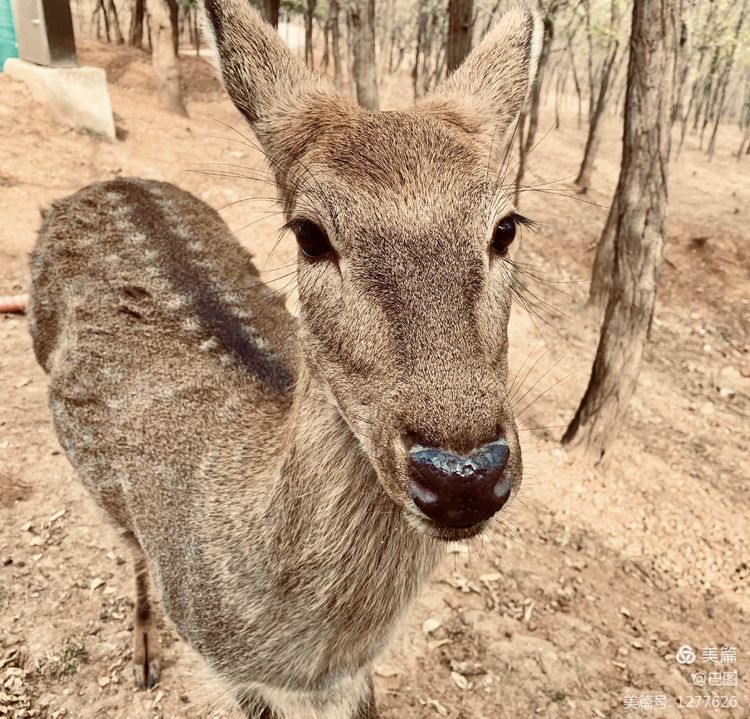 洛阳市宜阳凤凰岭射箭,宜阳县凤凰岭体育基地