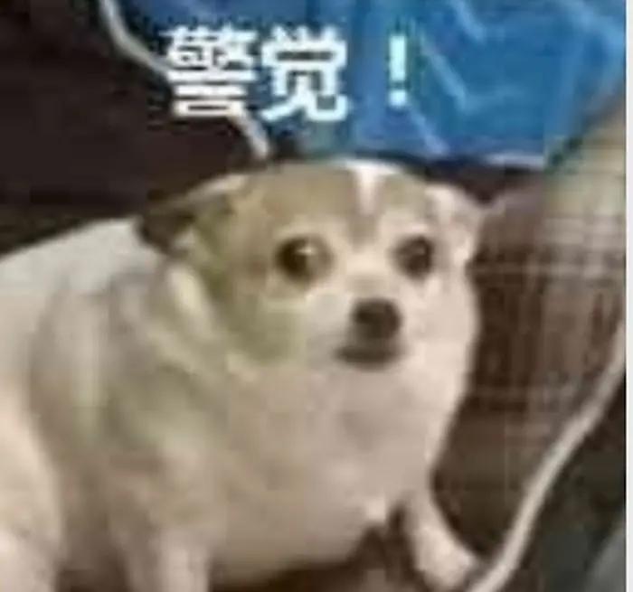 每天看电子屏幕超过8小时？警惕眼睛出现“数码视疲劳”