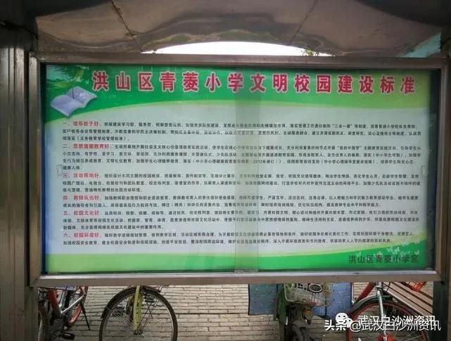 白沙洲青菱片区有哪些小学,白沙洲青菱小学怎样