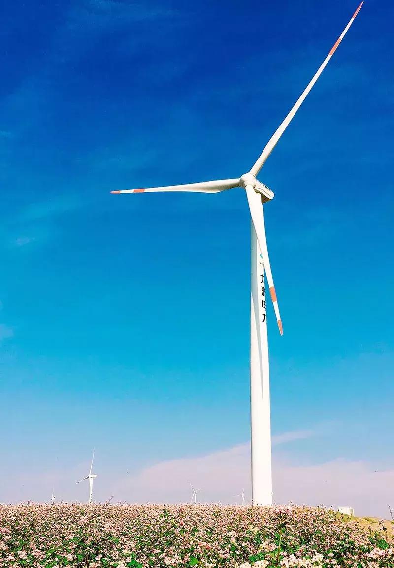 风电机遇,后发先至高质发展