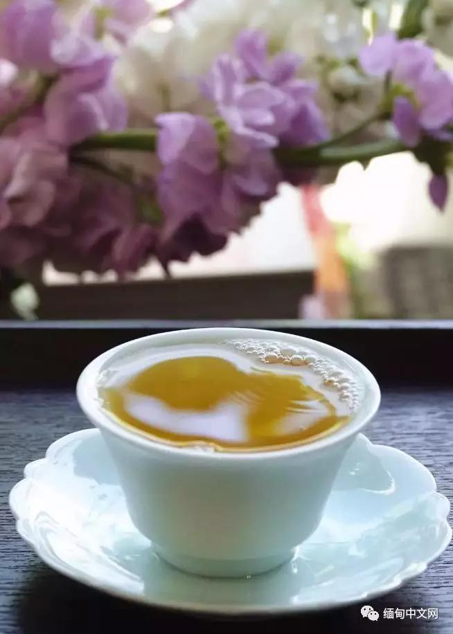 掸邦古茶树,缅甸东枝古树茶树