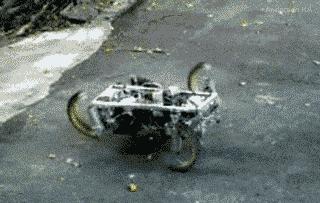 搞笑老鹰捉小鸡图片,搞笑版老鹰抓小鸡视频抖音30秒