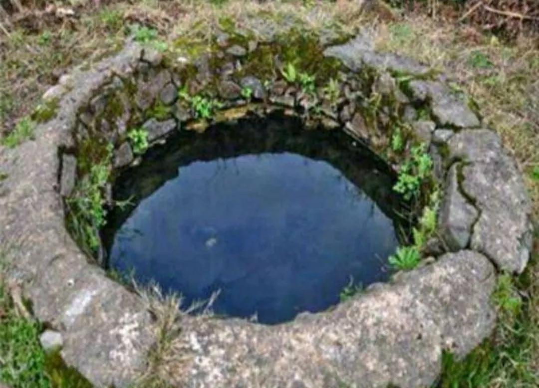 读余秀华的诗经典语录,刚好余秀华